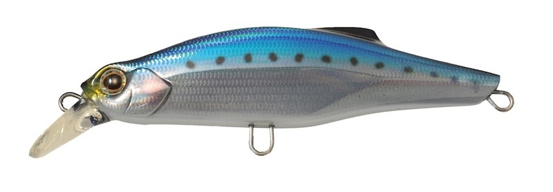Jackson Pintail 48 - Imagen 7 de 10