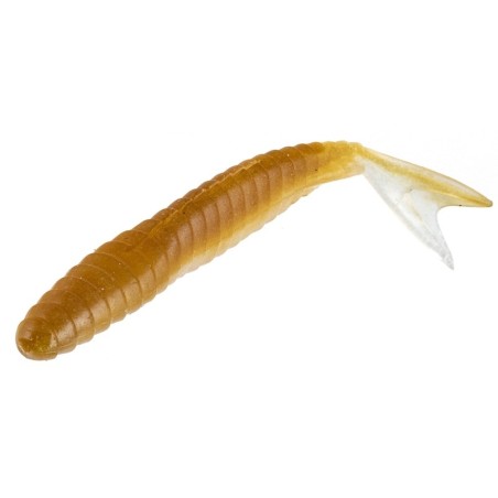 Galapagos Zegrashad 5.8" - 14cm - 6pcs/pk