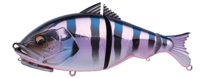 Bone Versal 190F - 19cm - 150g - Imagen 20 de 23