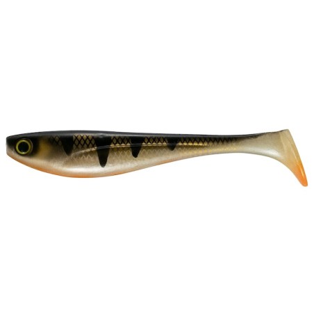 355-Golden Perch