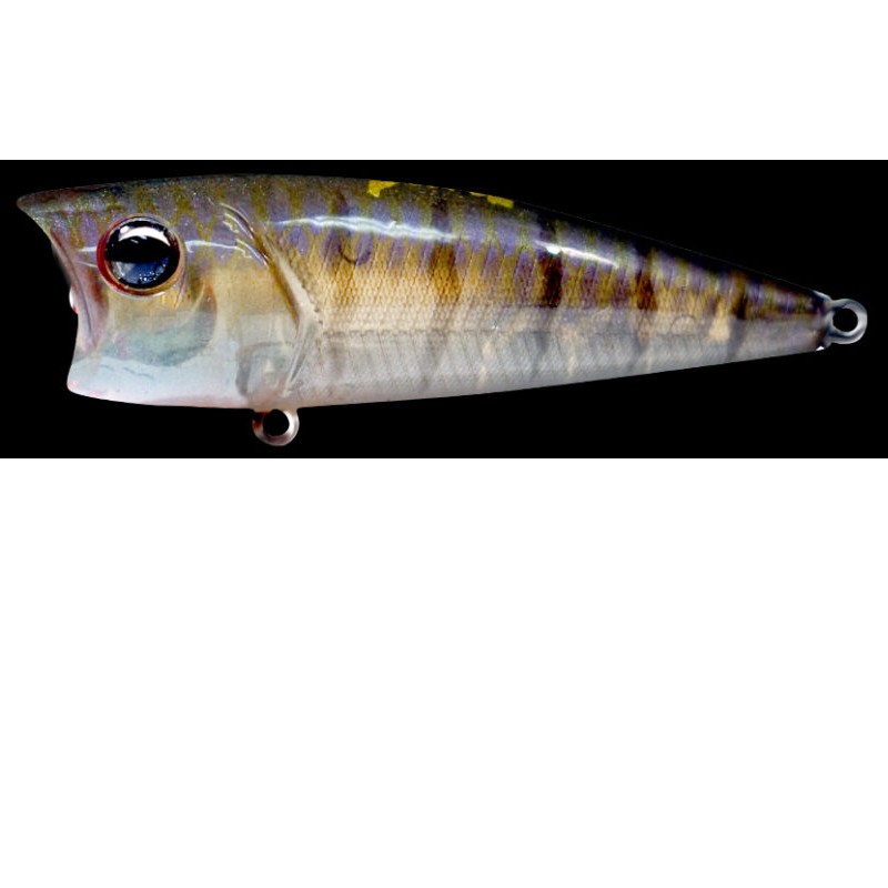 Ima Lures Finess Pop 65 - 6.5cm - 10g - Photo 8/13