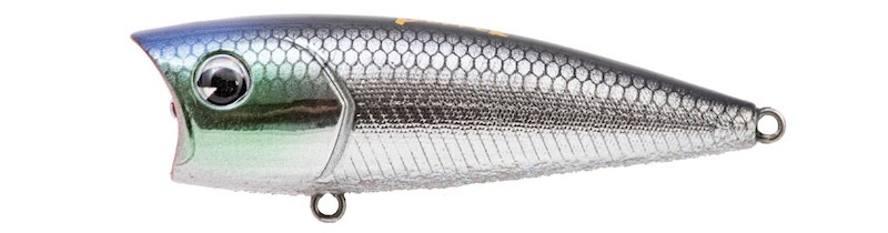 Ima Lures Finess Pop 65 - 6.5cm - 10g - Photo 13/13