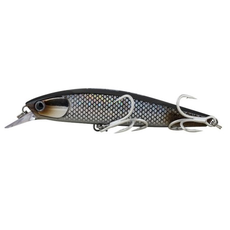 Oceans Legacy Tidalus 125