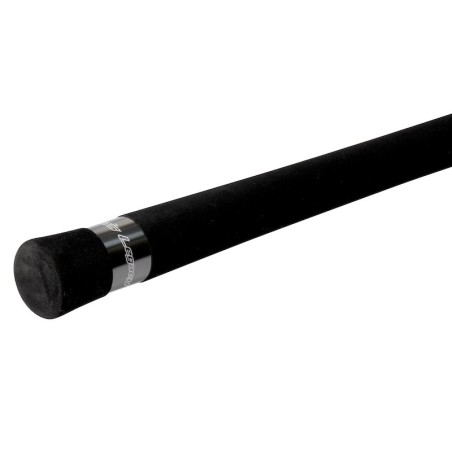 Oceans Legacy Offshore Element