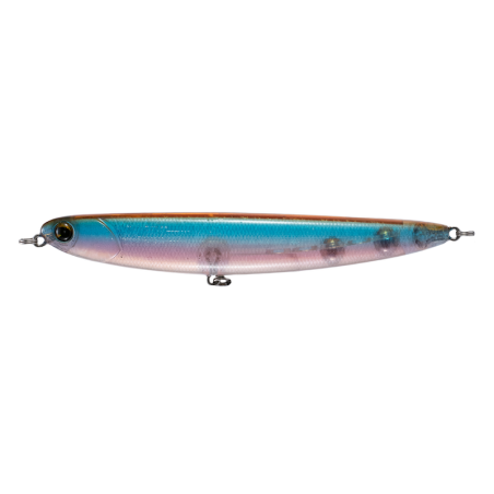 Ghost Minnow