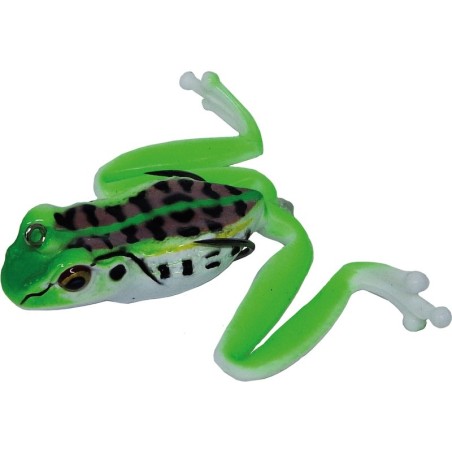 Bik Spotted Pond Frog