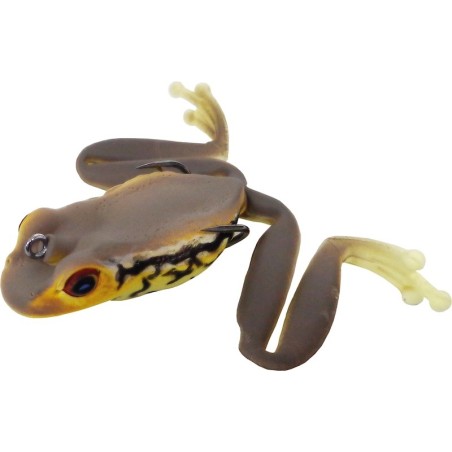 JP Toad