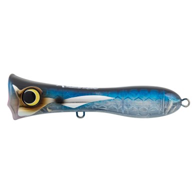 Pacific Flying Fish