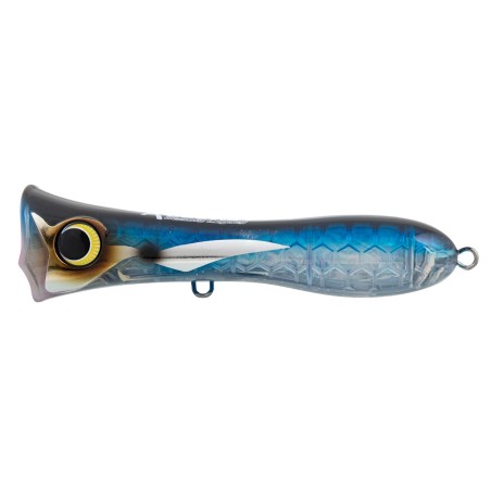 Pacific Flying Fish
