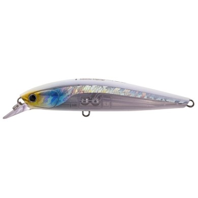 Crystal Lumo Anchovy