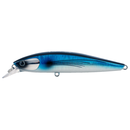Pacific Flying Fish