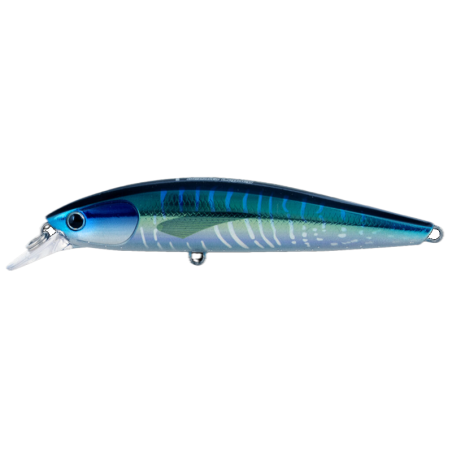 Yellow Fin Tuna