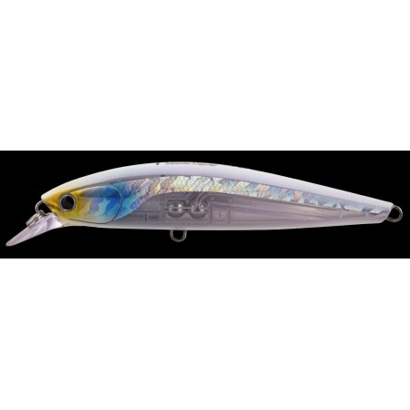Crystal Lumo Anchovy