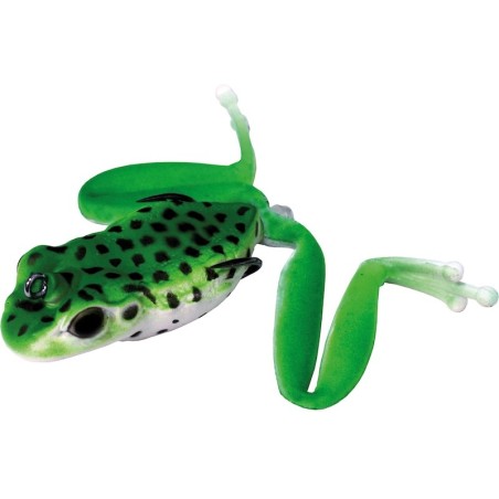Forest Green Frog