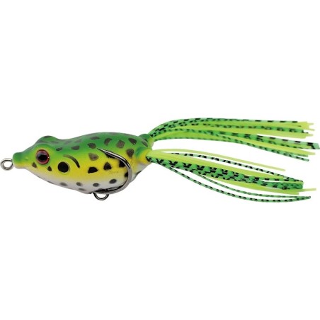 Forest Green Frog