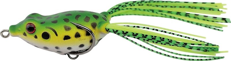 Kahara Baby Frog - Imagen 16 de 16