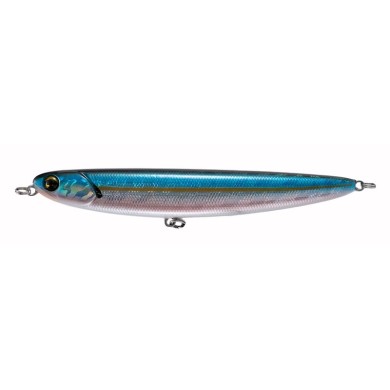 American Shad