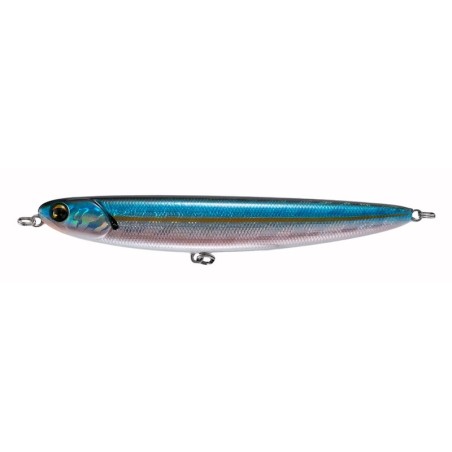 American Shad