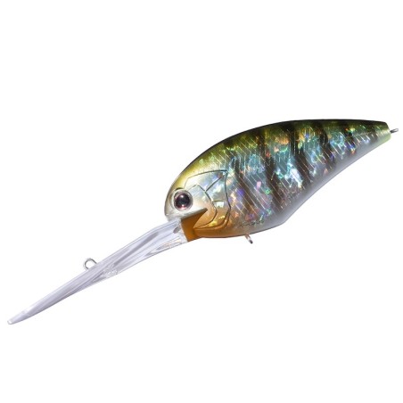 BH45 - TSURESU GILL