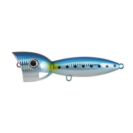 Blue Sardine