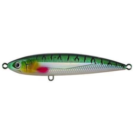 Green Mackerel