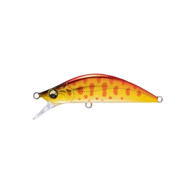 10 Red Gold Yamame