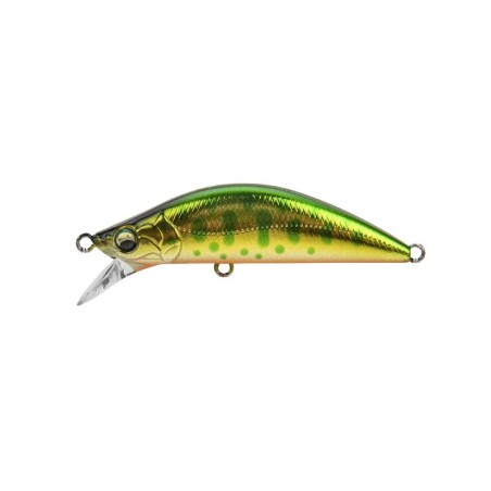 11 Green Gold Yamame