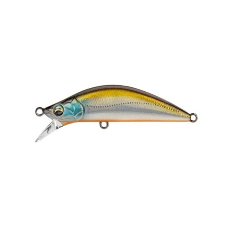 06 Tennessee Shad