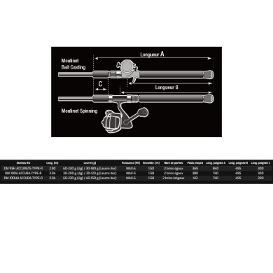 DM 100HH ACCURA RG TIPO-R