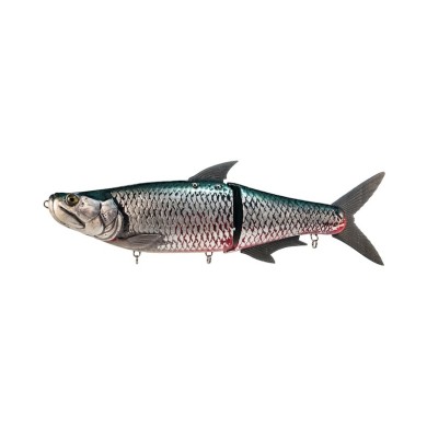 WOF Arapaima Ltd