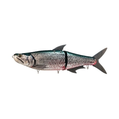 WOF Arapaima Ltd