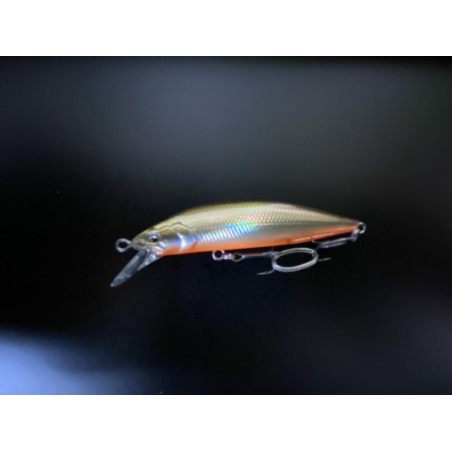 26-Tennessee Shad