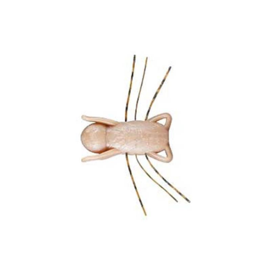 F04 Canela - 4pcs/pk