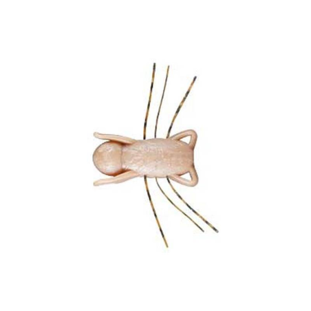 F04 Canela - 4pcs/pk
