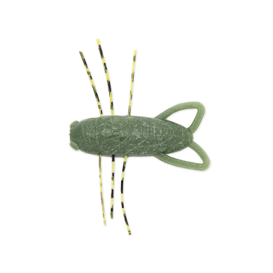 02 Watermelon - 4pcs/pk