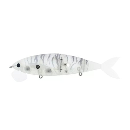 10 SHIRASA TIGER