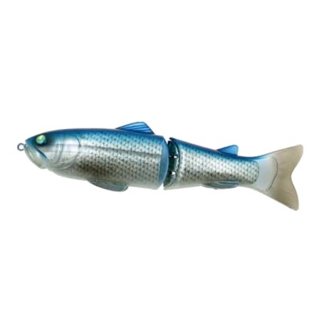 25 BLUE BACK SHINER