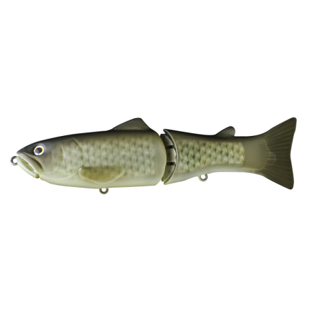 01 Flash Carp