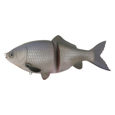 02 SILVER CARP