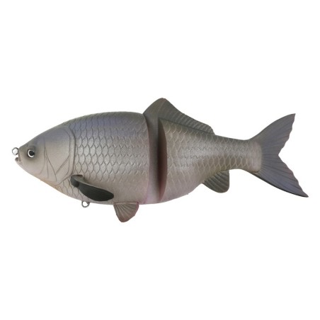 02 SILVER CARP