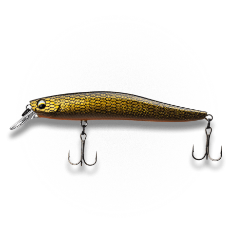 Golden Roach