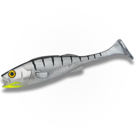 Chrome Tiger - 1pcs/pk