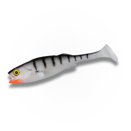 White Tiger - 1pcs/pk