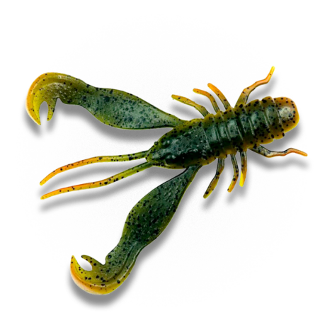 Craw real