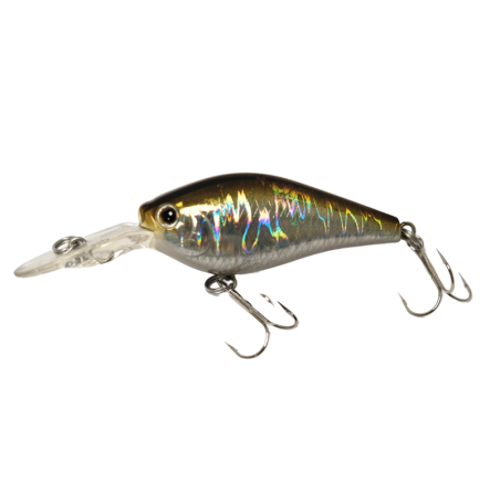 931 Aurora Shad