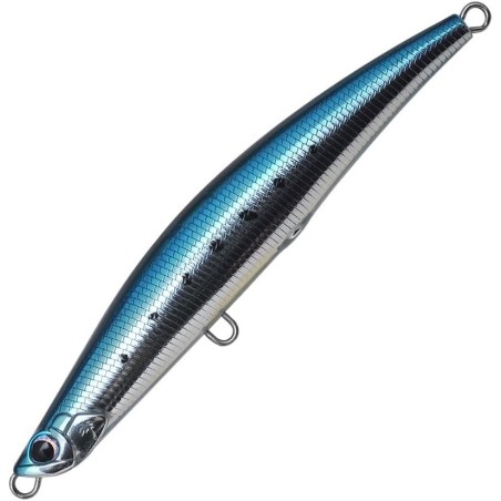 AL10 Sardine