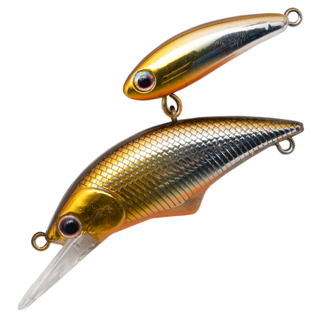Stream Shad