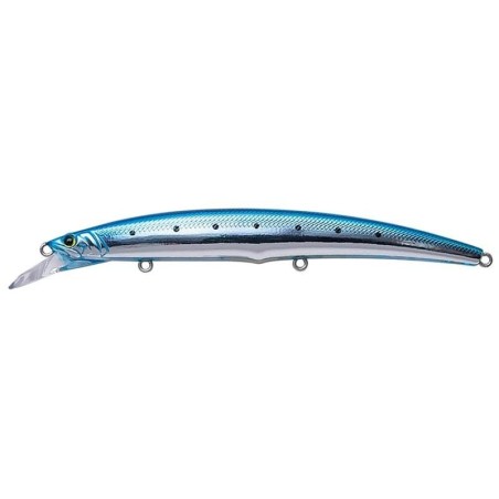 Sardine