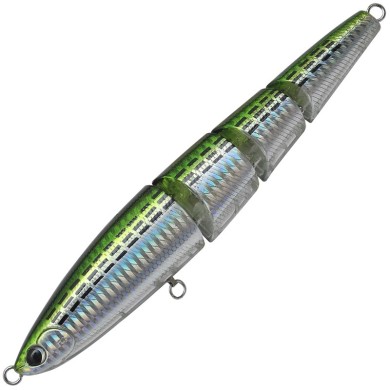H319 Conobora