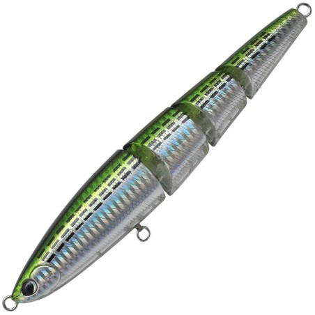H319 Conobora